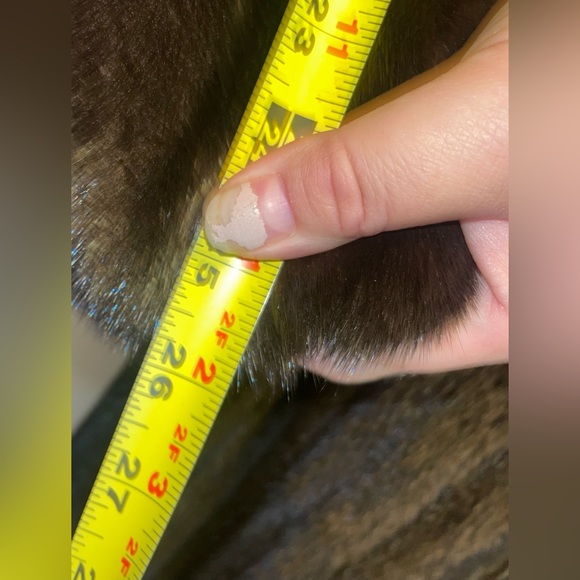 SALE big HIT BUYVtg mahogany brown full length mink coat  black lining w shaw - Picture 11 of 16